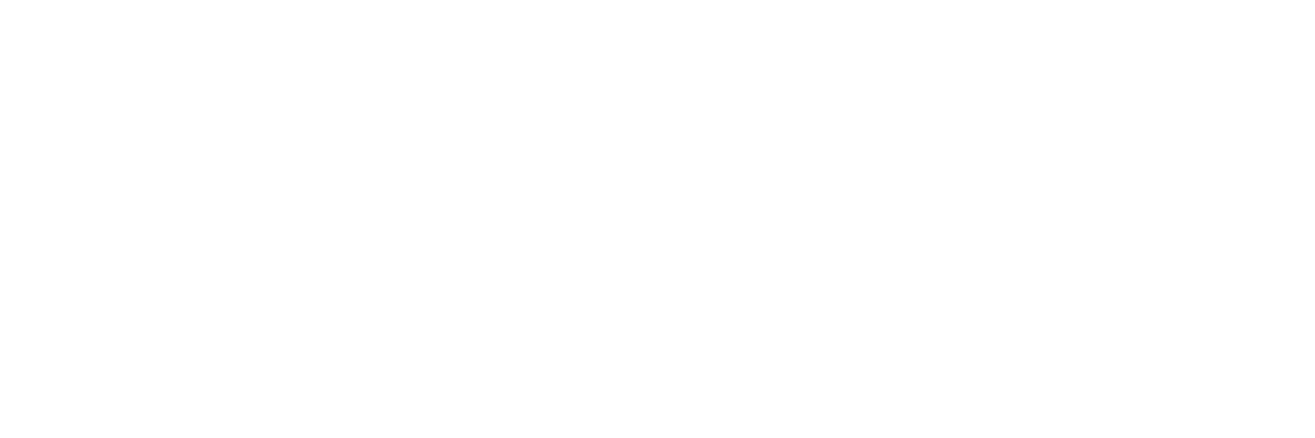 Fiat Denver